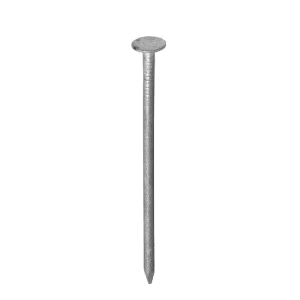 Clous têtes plates acier poli (1.8x30mm)